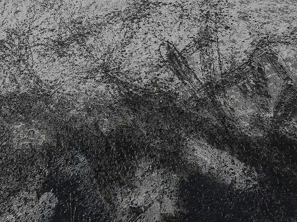 《雪地上的现代“仓颉”》王华明