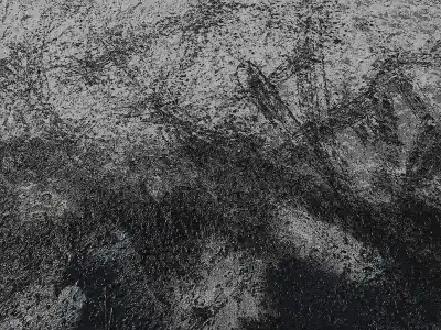 《雪地上的现代“仓颉”》王华明
