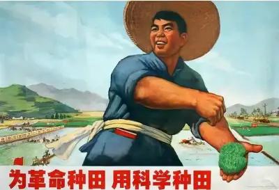 《为革命种田，用科学种田》浙江美术学院工农兵创作学习班
