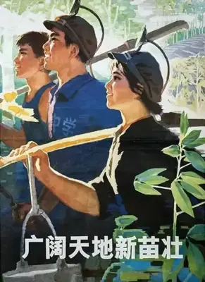 《广阔天地新苗壮》广州市委宣传部美术组
