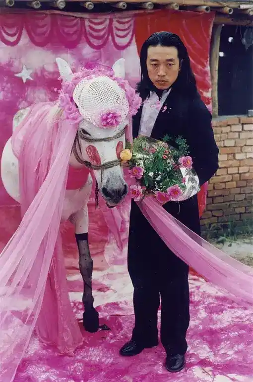 《娶头驴子》王晋