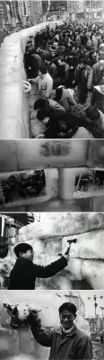 《冰-96中原》王晋、郭景涵、姜波
