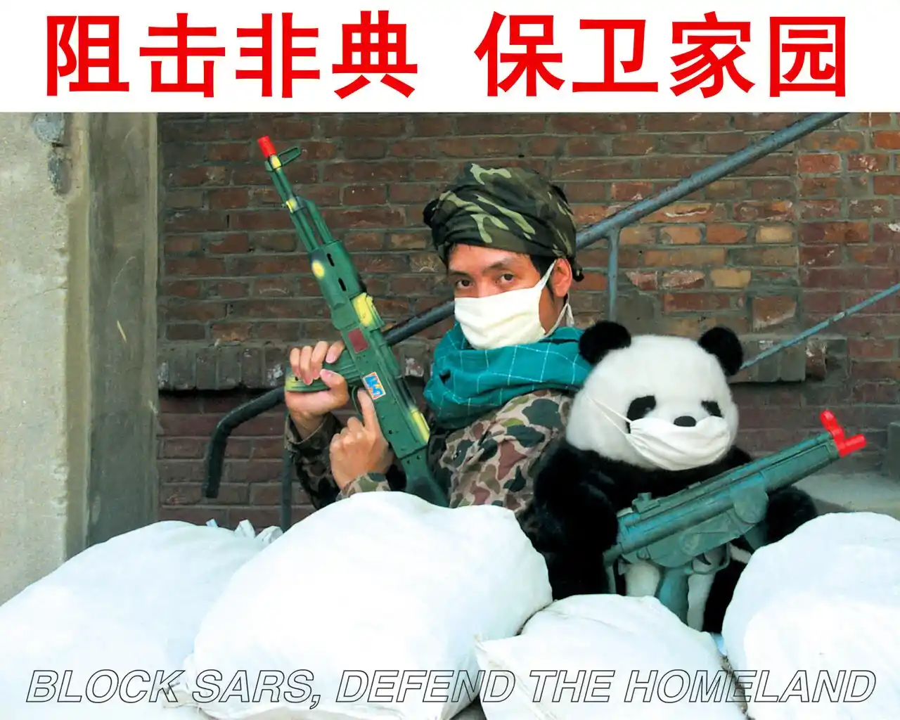 《熊猫系列·非典》赵半狄