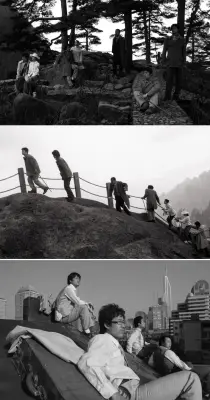 《竹林七贤系列》杨福东