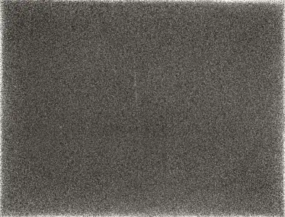 《指印2004.8.1》张羽