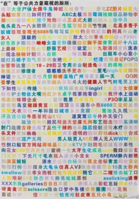 《在等于公共力量窥视的厕所之一》吴山专