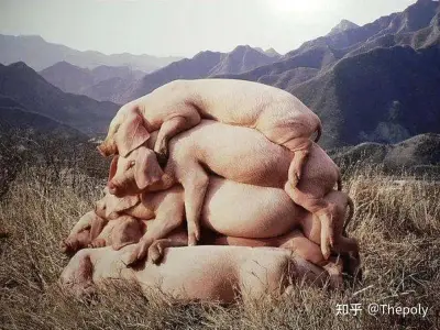 《我也爱当代艺术》左小祖咒